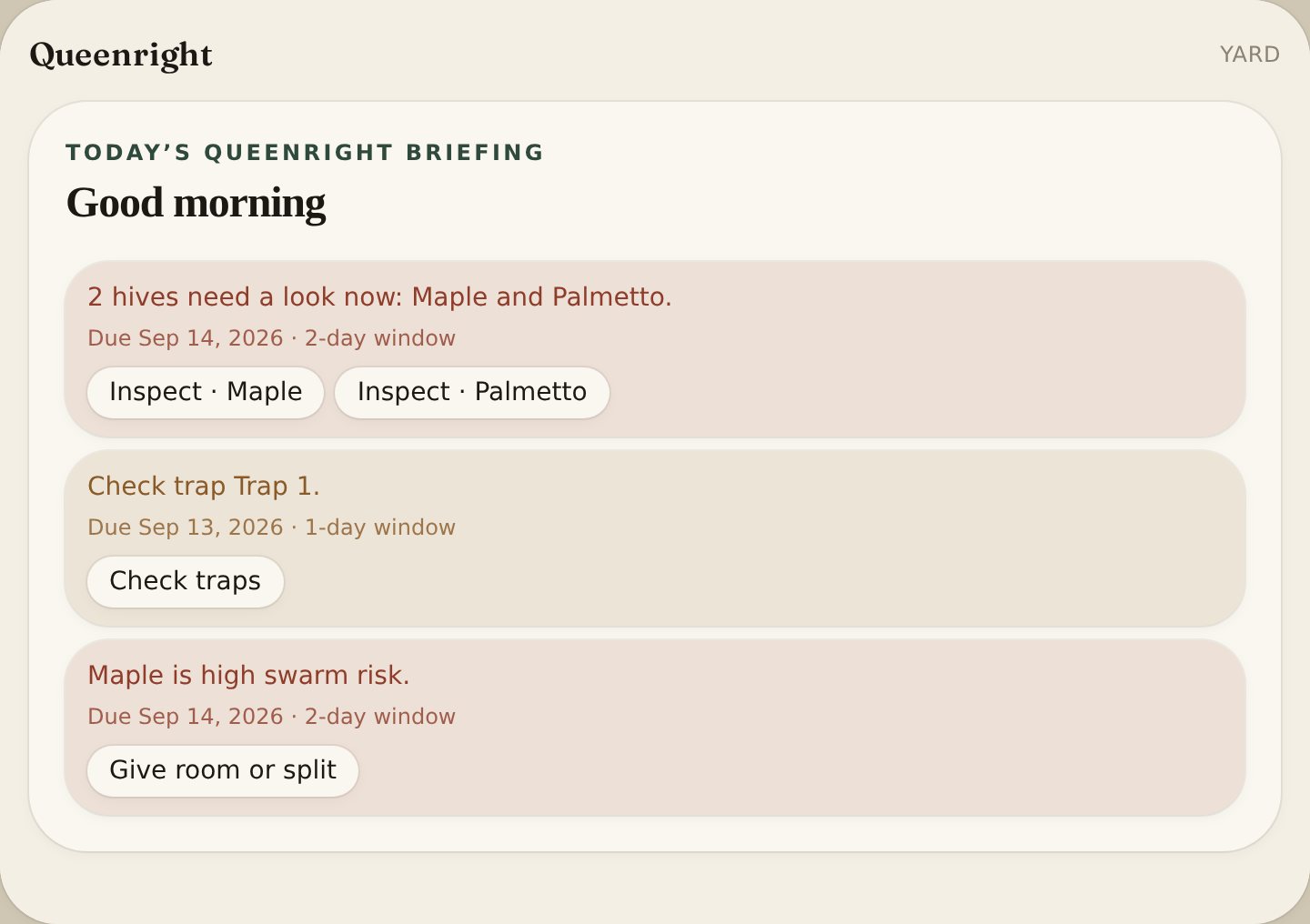 Queenright Learning