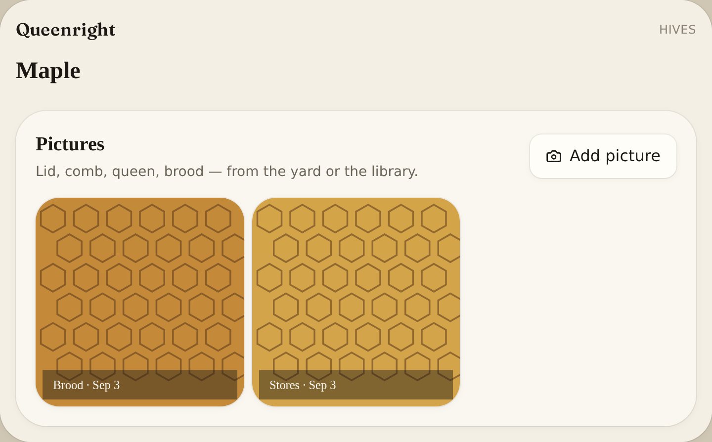 Hive photos